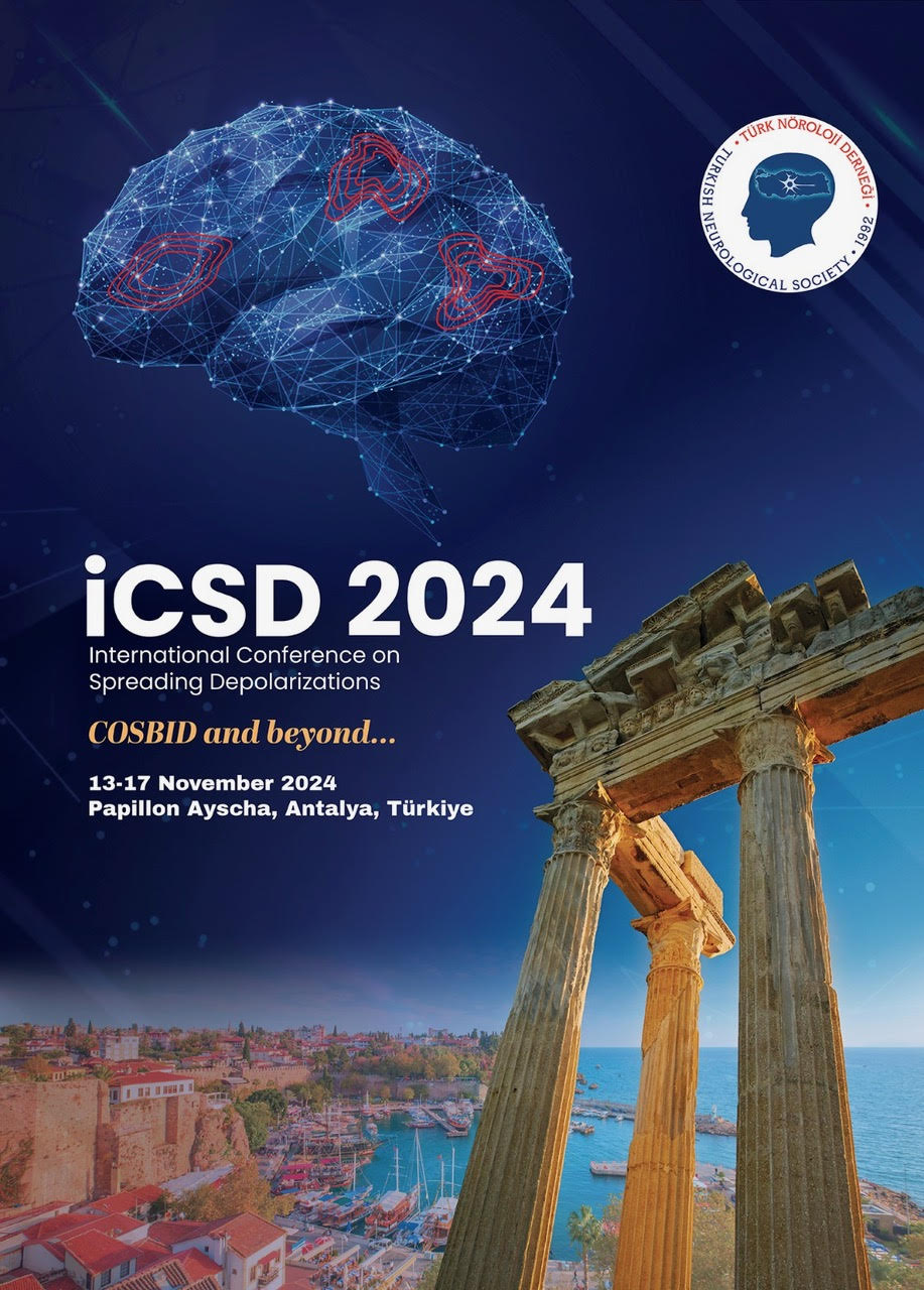 iCSD 2024 flyer